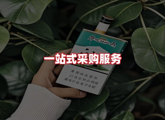 专业团队